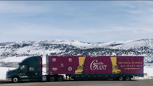 Moving and Storage Service «Gentle Giant Moving Company», reviews and photos, 5782 2nd St NE, Washington, DC 20011, USA