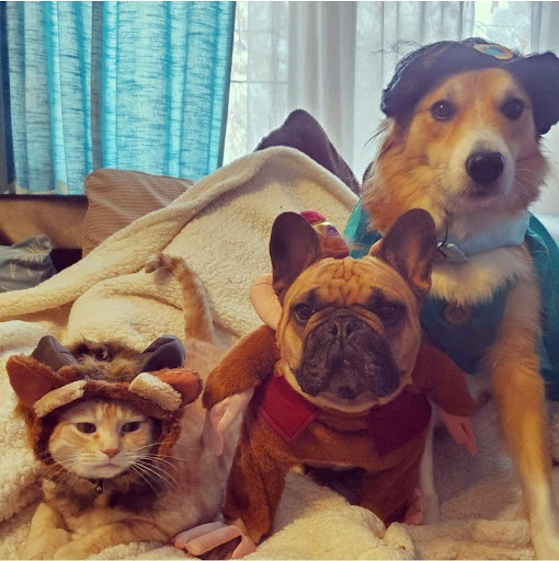 Pet Supply Store «Natural Pet Center», reviews and photos, 3037 13th Ave S, Fargo, ND 58103, USA