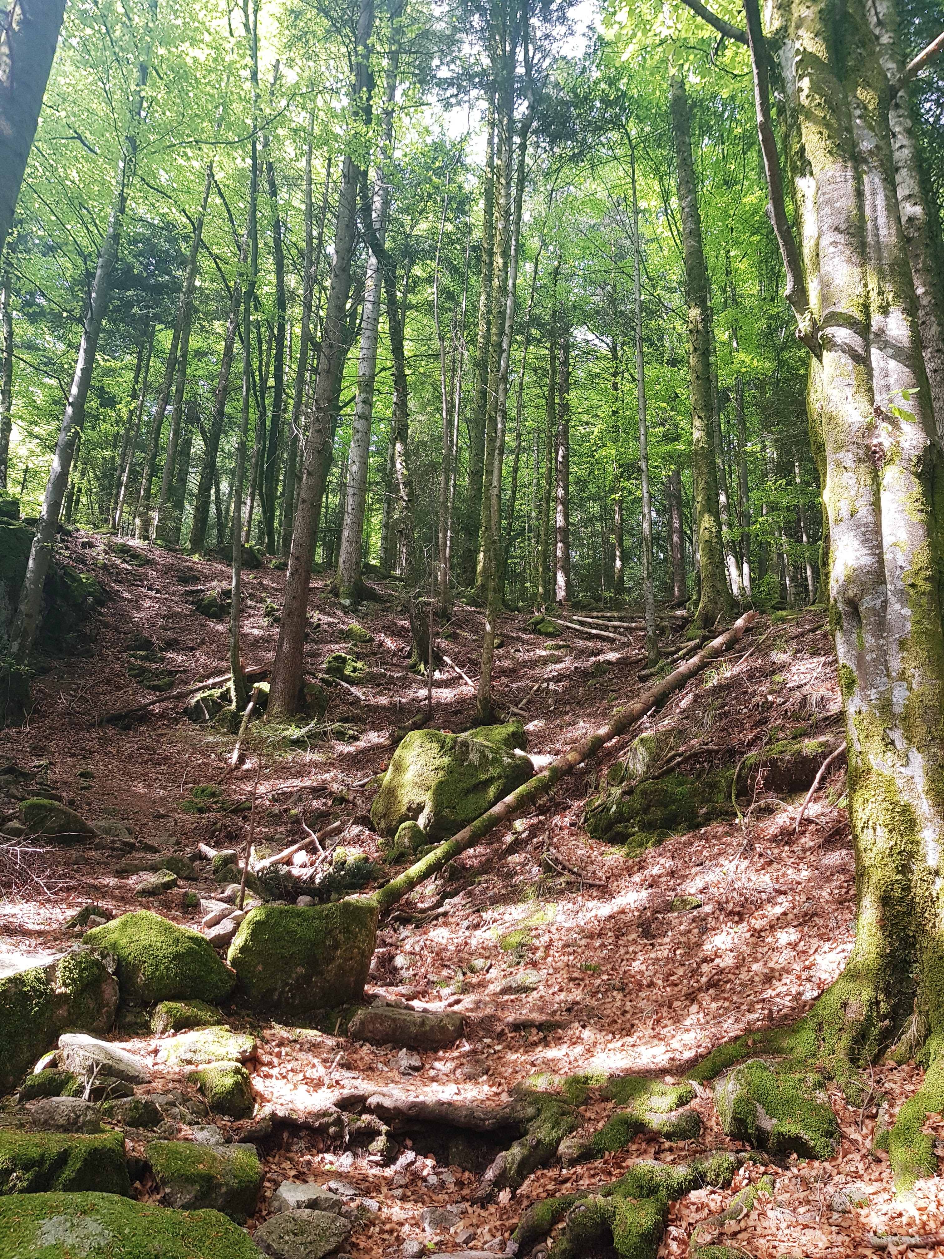 Photo n° 2 de l'avis de Delphine.A fait le 26/04/2018 à 05:39