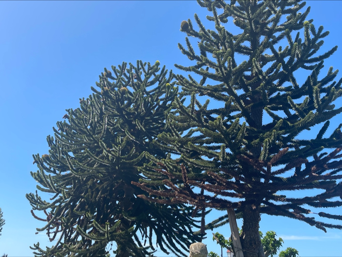 Photo n° 1 de l'avis de Stephane.u fait le 11/06/2022 à 22:17