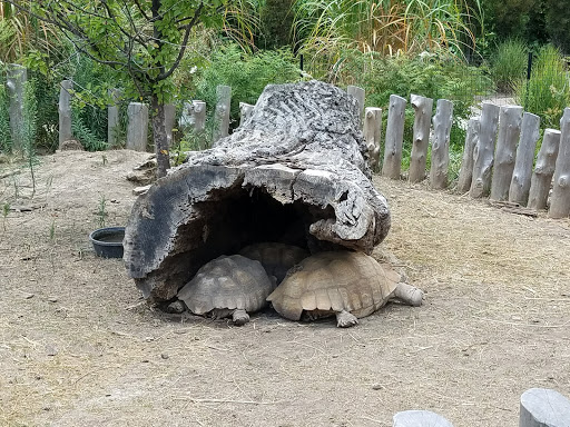 Foundation «The Henry Doorly Zoo», reviews and photos, 3701 S 10th St, Omaha, NE 68107, USA
