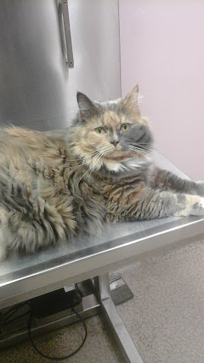 Shopping Mall «Shop City Shopping Center», reviews and photos, 105 Shop City Plaza, Syracuse, NY 13206, USA