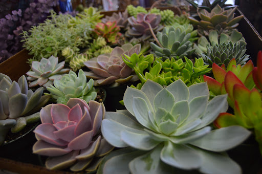 Florist «Station Florist», reviews and photos, 5 Babbitt Rd, Bedford Hills, NY 10507, USA