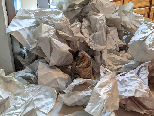 Moving and Storage Service «Ace Relocation Systems, Inc.», reviews and photos, 675 Quinn Ave, San Jose, CA 95112, USA