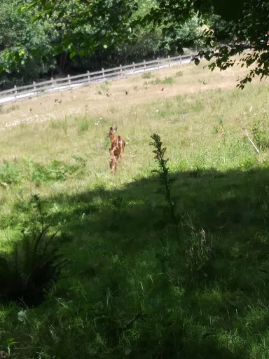 Park «Meridian Habitat Park & Community Center», reviews and photos, 14422 Meridian E, Puyallup, WA 98375, USA