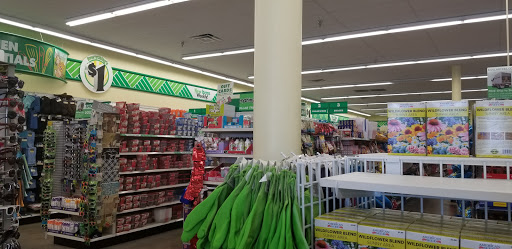 Dollar Store «Dollar Tree», reviews and photos, 3046 Lavon Dr #129a, Garland, TX 75040, USA