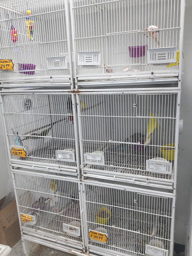 Pet Supply Store «Petland Discounts - Orange», reviews and photos, 322 Main St, City of Orange, NJ 07050, USA