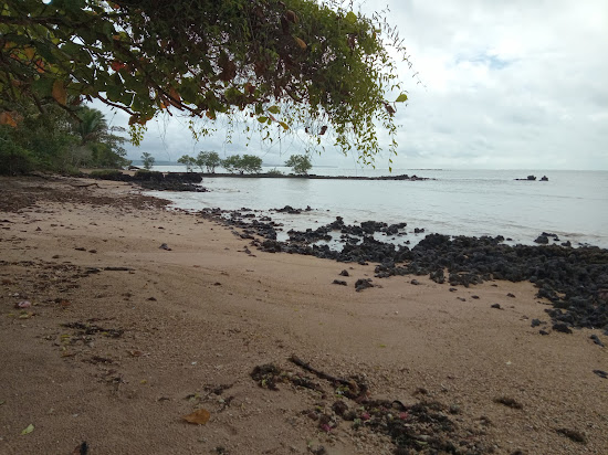 Plage de Maracapeba
