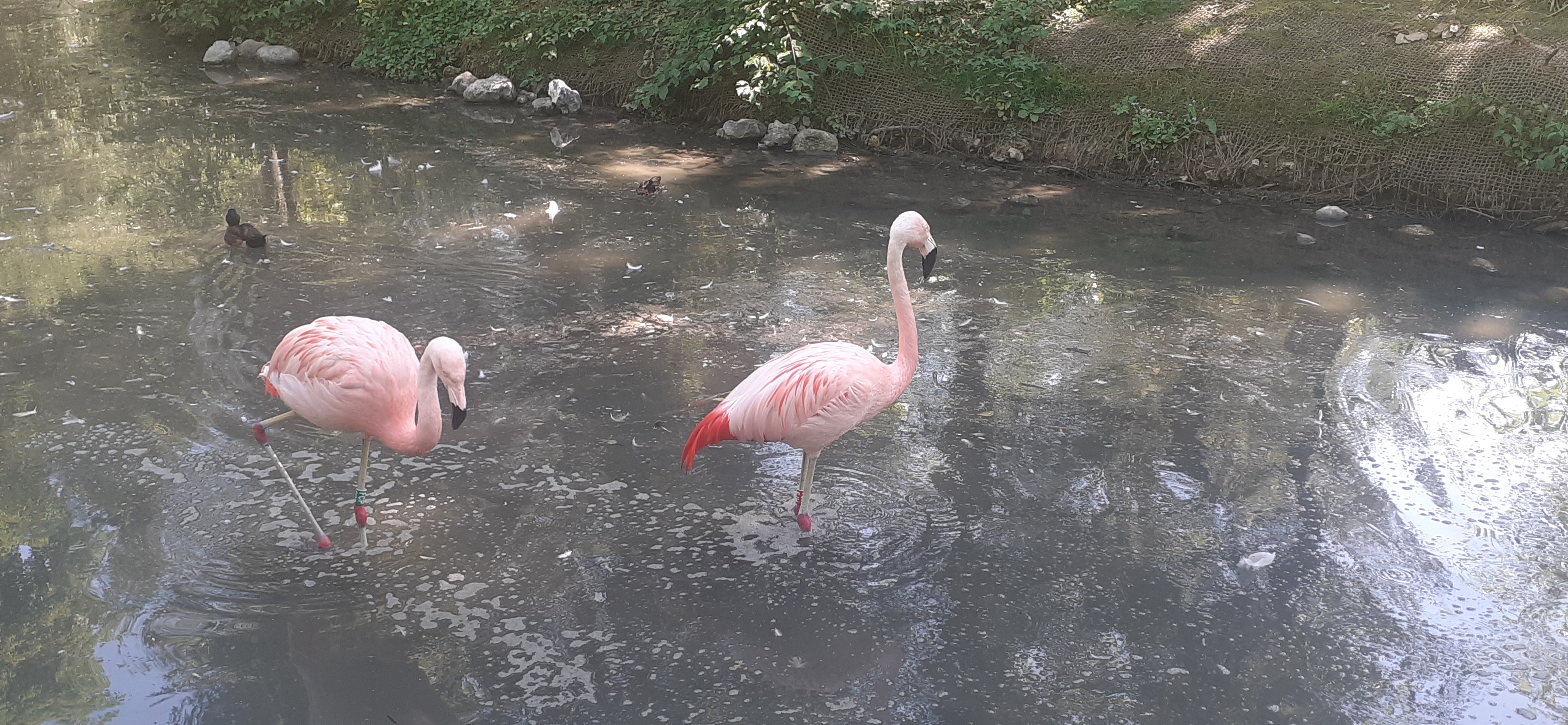 Photo n° 5 de l'avis de Guillaume.u fait le 20/07/2022 à 17:50
