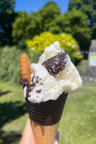 Reviews of Ripples in Swansea - Ice cream