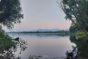 Lago de Zacapu image