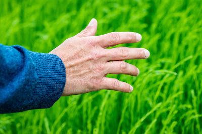 AGRI'TERRE EXPERTISE à Gruchet-Saint-Siméon