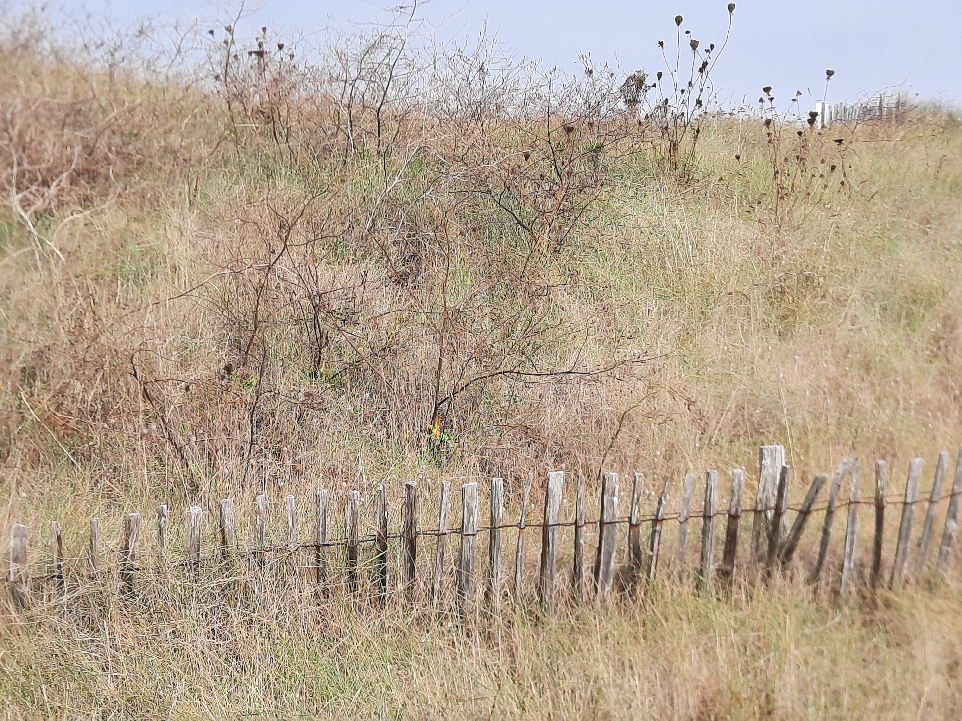 Photo n° 6 de l'avis de Patricia.i fait le 09/09/2021 à 19:21