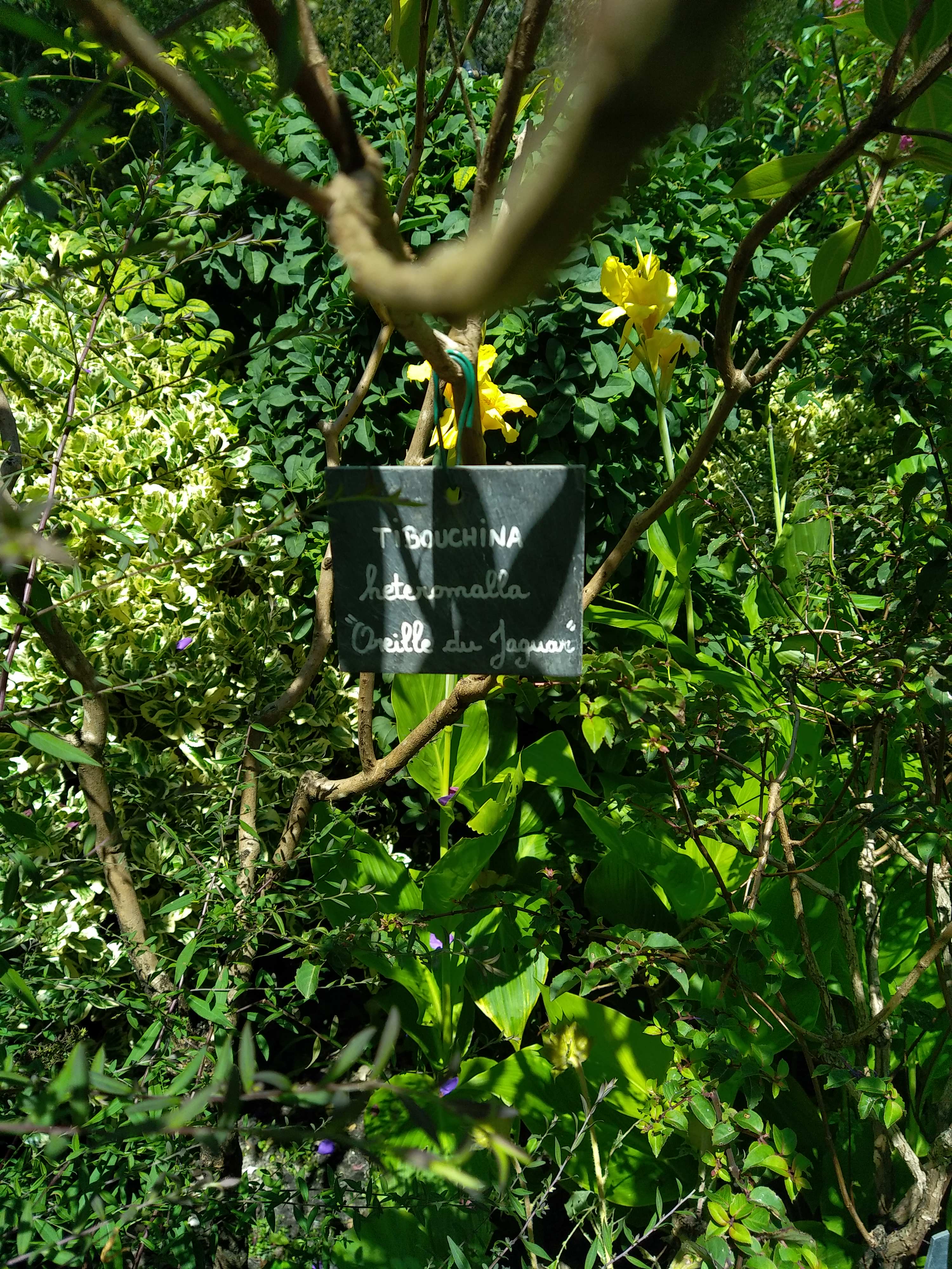 Photo n° 2 de l'avis de David.o fait le 06/08/2023 à 14:02