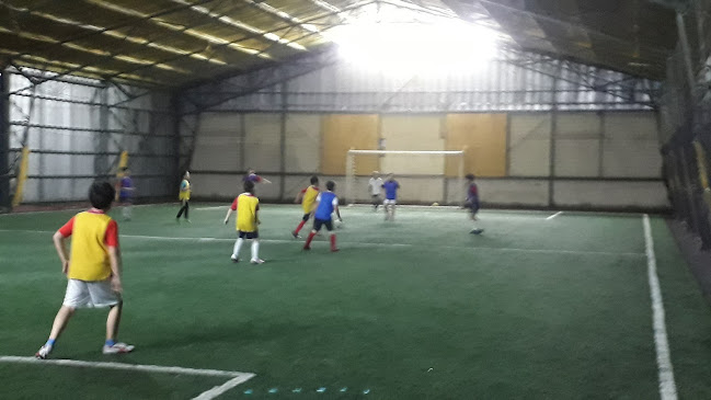 Canchas Pase Gol - Puerto Varas