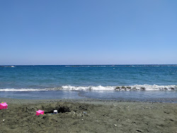 Onisilos Beach'in fotoğrafı - rahatlamayı sevenler arasında popüler bir yer
