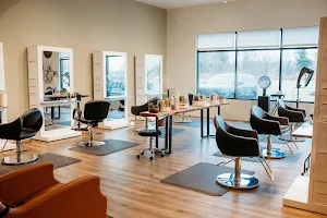 TOTAL KNOCKOUT SALON image