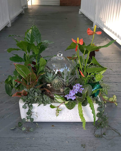 Florist «Kathy and Company Florist», reviews and photos, 221 Colchester Ave, Burlington, VT 05401, USA