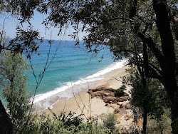 Photo de Rakopotamos naturist beach situé dans une zone naturelle