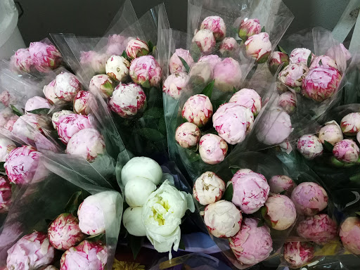 Florist «The Flower Place», reviews and photos, 860 NE 79th St, Miami, FL 33138, USA