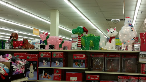 Big Lots image 6