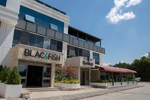 Blackfish image