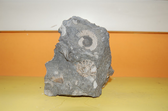 Opinii despre Massagepraxis-Atlantis- Meggen în Küssnacht SZ - Masseur