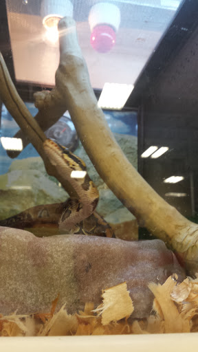 Pet Supply Store «PetSmart», reviews and photos, 47142 Michigan Ave, Canton, MI 48188, USA