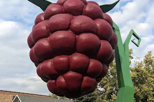The World's Largest Raspberry image