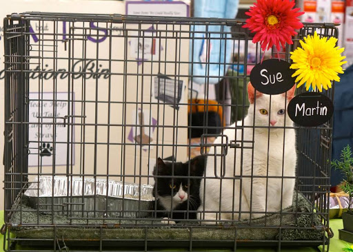 Pet Supply Store «J-B Pet Supplies - Hawthorne», reviews and photos, 289 Wagaraw Rd, Hawthorne, NJ 07506, USA