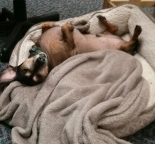 Jewelry Repair Service «Rizzo Jewelers of Cocoa Beach», reviews and photos, 5360 N Atlantic Ave Suite D, Cocoa Beach, FL 32931, USA