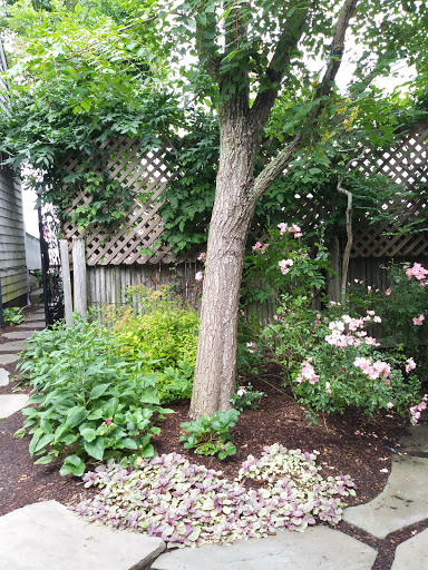 Coffee Shop «Handlebar Cafe», reviews and photos, 15 Washington St, Nantucket, MA 02554, USA