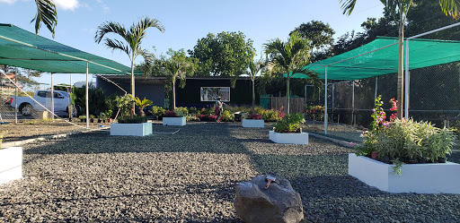 Vivero grama del este y mas