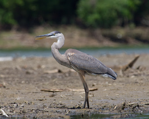 State Park «Taylorsville Lake State Park», reviews and photos, 1320 Park Rd, Mt Eden, KY 40046, USA