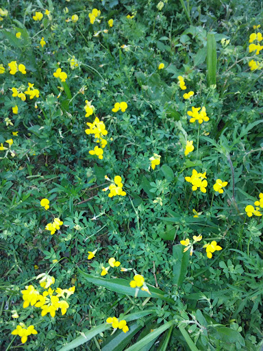 Park «Carol Stream Park District», reviews and photos, 849 W Lies Rd, Carol Stream, IL 60188, USA