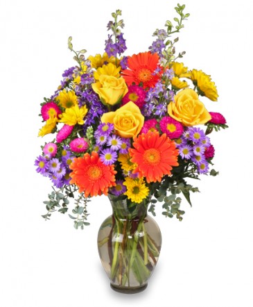 Florist «Blooms-The Flower Shop», reviews and photos, 3028 Chimney Rock Rd, Houston, TX 77056, USA