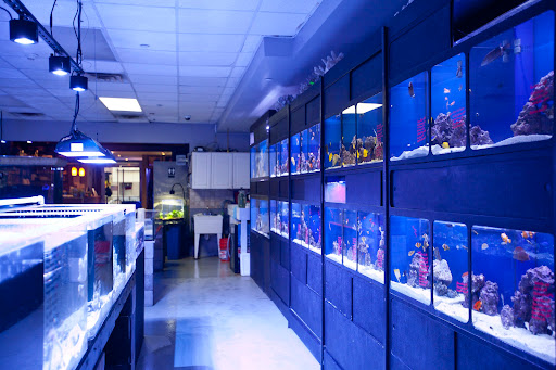 Manhattan Aquariums