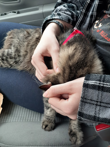 Pet Supply Store «Panhandle Pet Supply», reviews and photos, 3661 N Monroe St, Tallahassee, FL 32303, USA