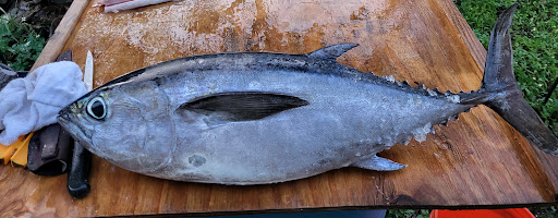 Motorsports Store «RIVA Motorsports», reviews and photos, 3671 N Dixie Hwy, Pompano Beach, FL 33064, USA