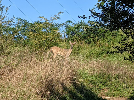Park «Valley View Park», reviews and photos, 5575 Ozark Avenue North, Oak Park Heights, MN 55082, USA