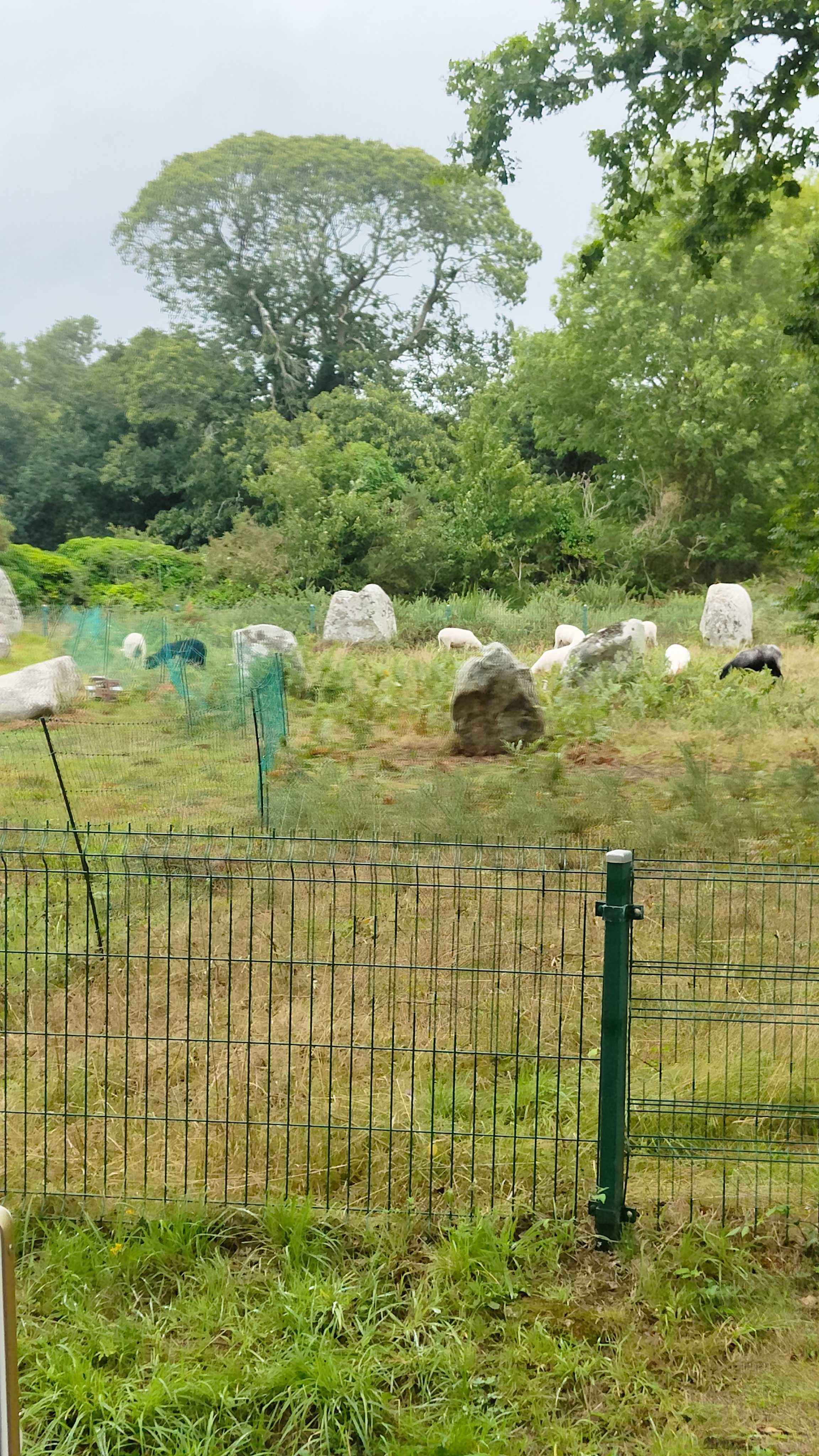 Photo n° 2 de l'avis de kelza62. fait le 04/08/2023 à 18:14