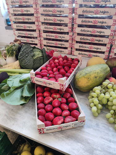 Beoordelingen van VERSLEVERANCIER Groenten & Fruit in Andenne - Supermarkt