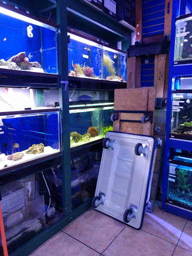 Pet Store «Aquarium Designs», reviews and photos, 15229 San Pedro Ave, San Antonio, TX 78232, USA