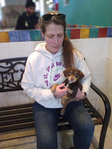 Pet Store «All Pets Club», reviews and photos, 1167 N Colony Rd, Wallingford, CT 06492, USA