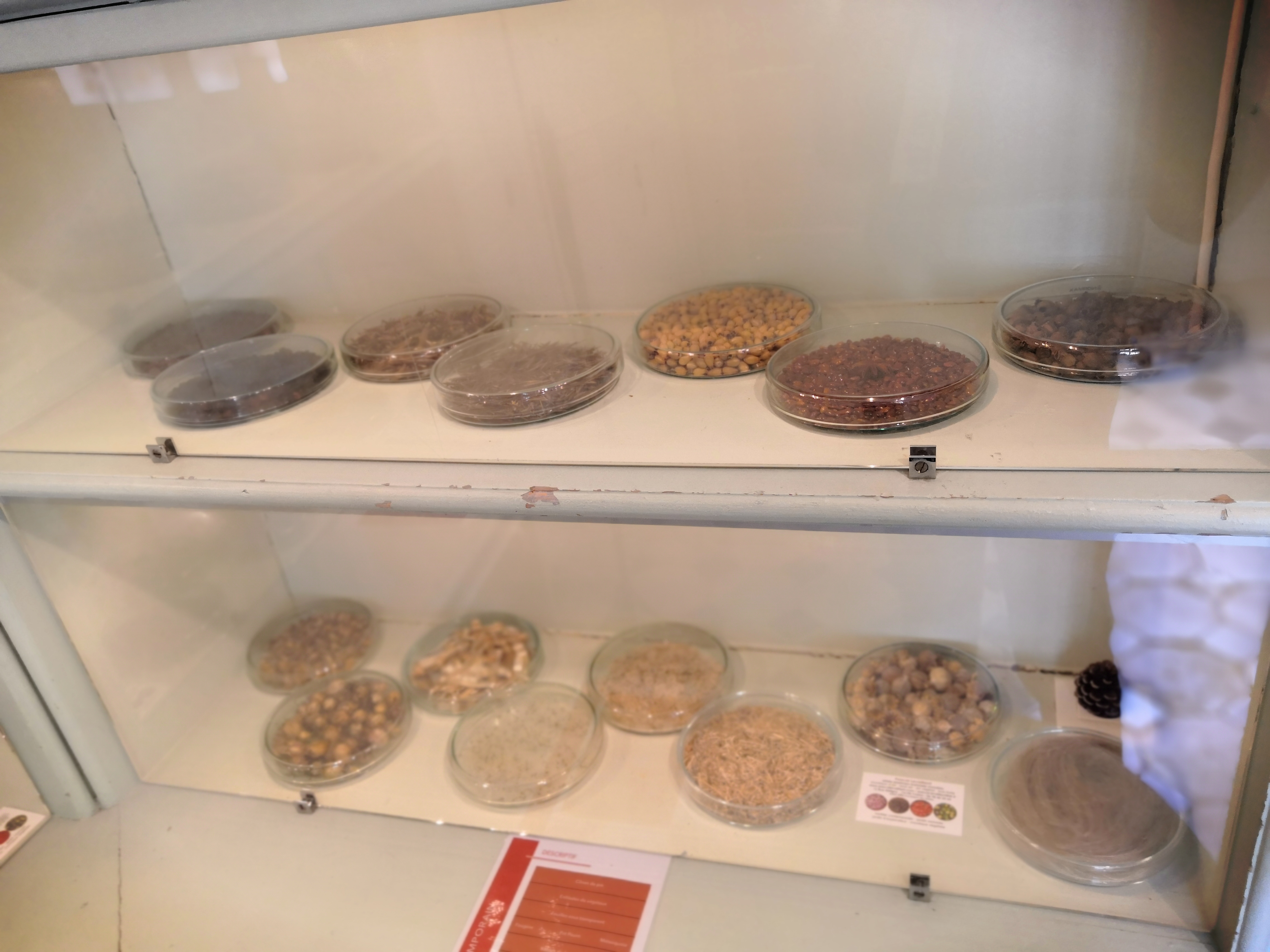 Photo n° 8 de l'avis de Ssimo.e fait le 11/09/2020 à 20:53