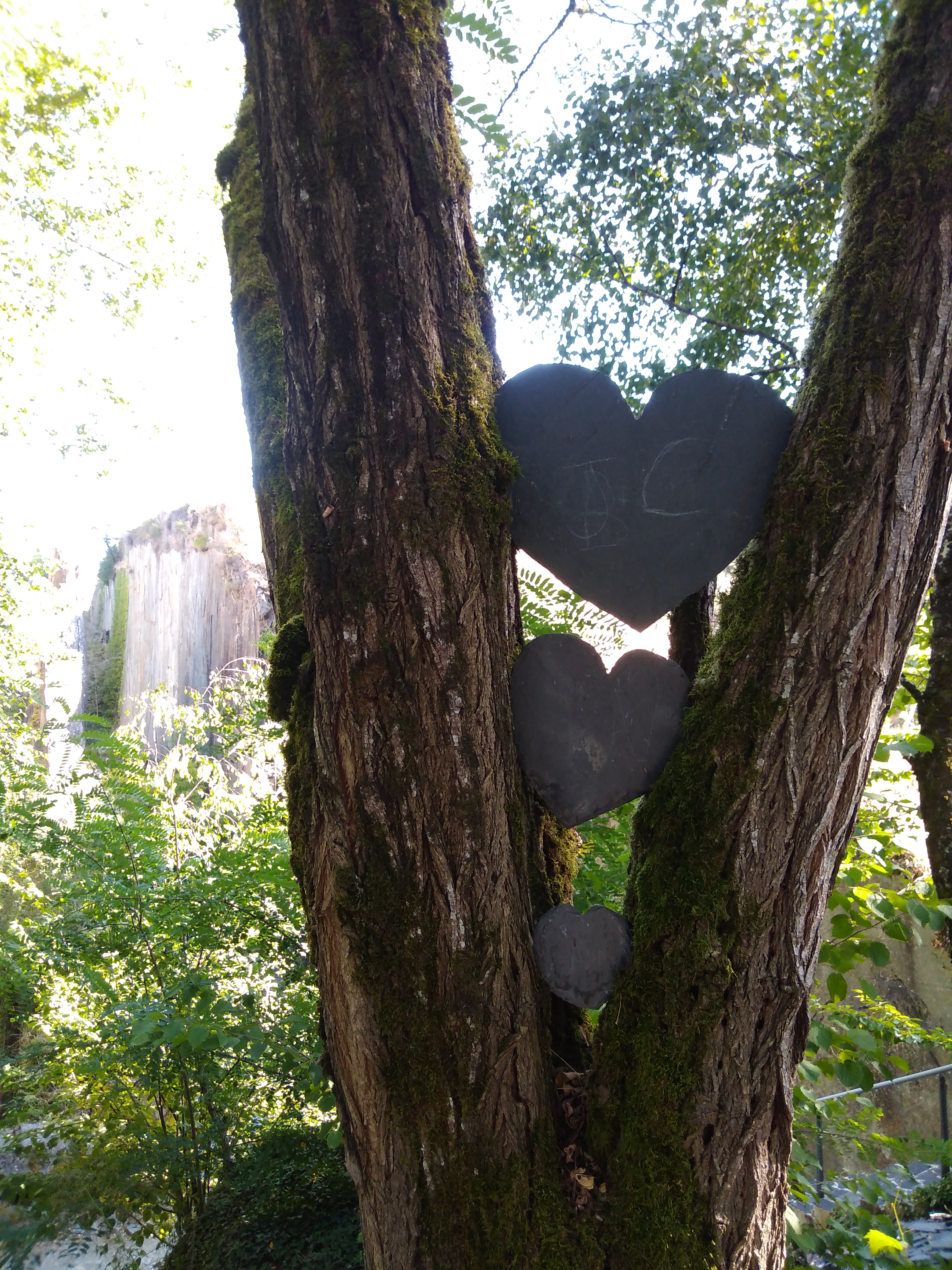 Photo n° 2 de l'avis de Nanou.a fait le 17/08/2019 à 17:42