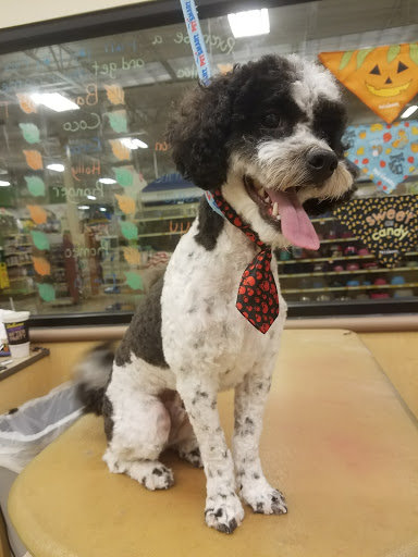 Pet Supply Store «PetSmart», reviews and photos, 1300 John F Kennedy Rd, Dubuque, IA 52002, USA