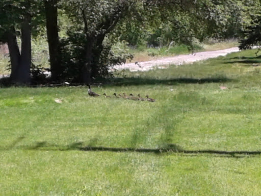 Country Club «Riverside Country Club», reviews and photos, 2701 N University Ave, Provo, UT 84604, USA