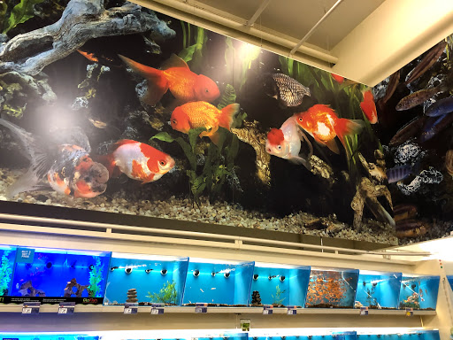 Pet Supply Store «PetSmart», reviews and photos, 525 Connecticut Ave, Norwalk, CT 06854, USA
