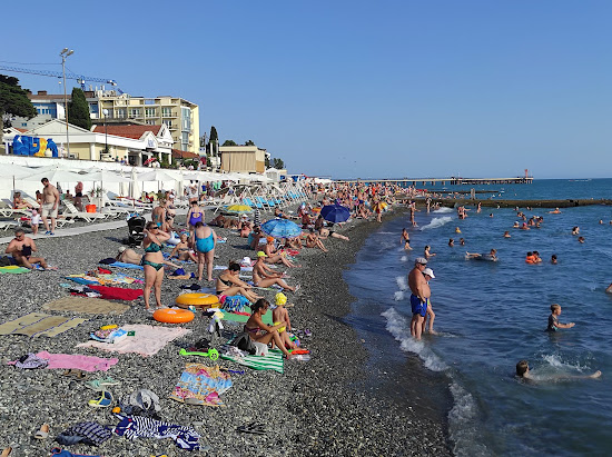 Seagull beach